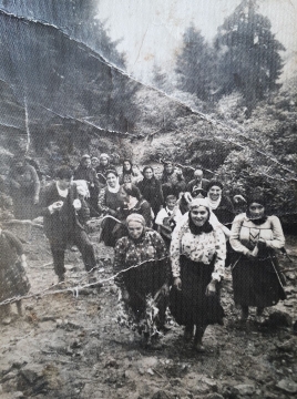 HOPA HEMŞİNLİLERDE YAYLACILIK