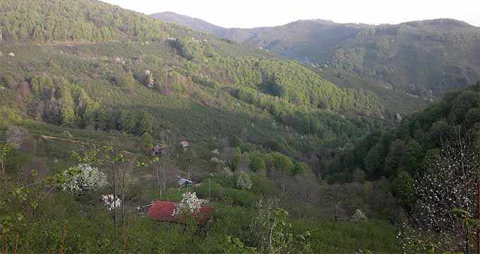 karatavuk