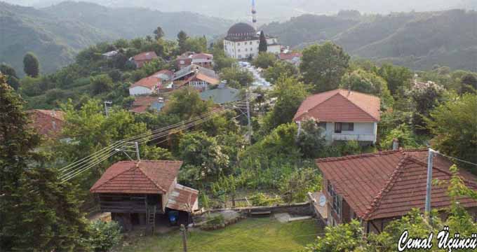 Yenice